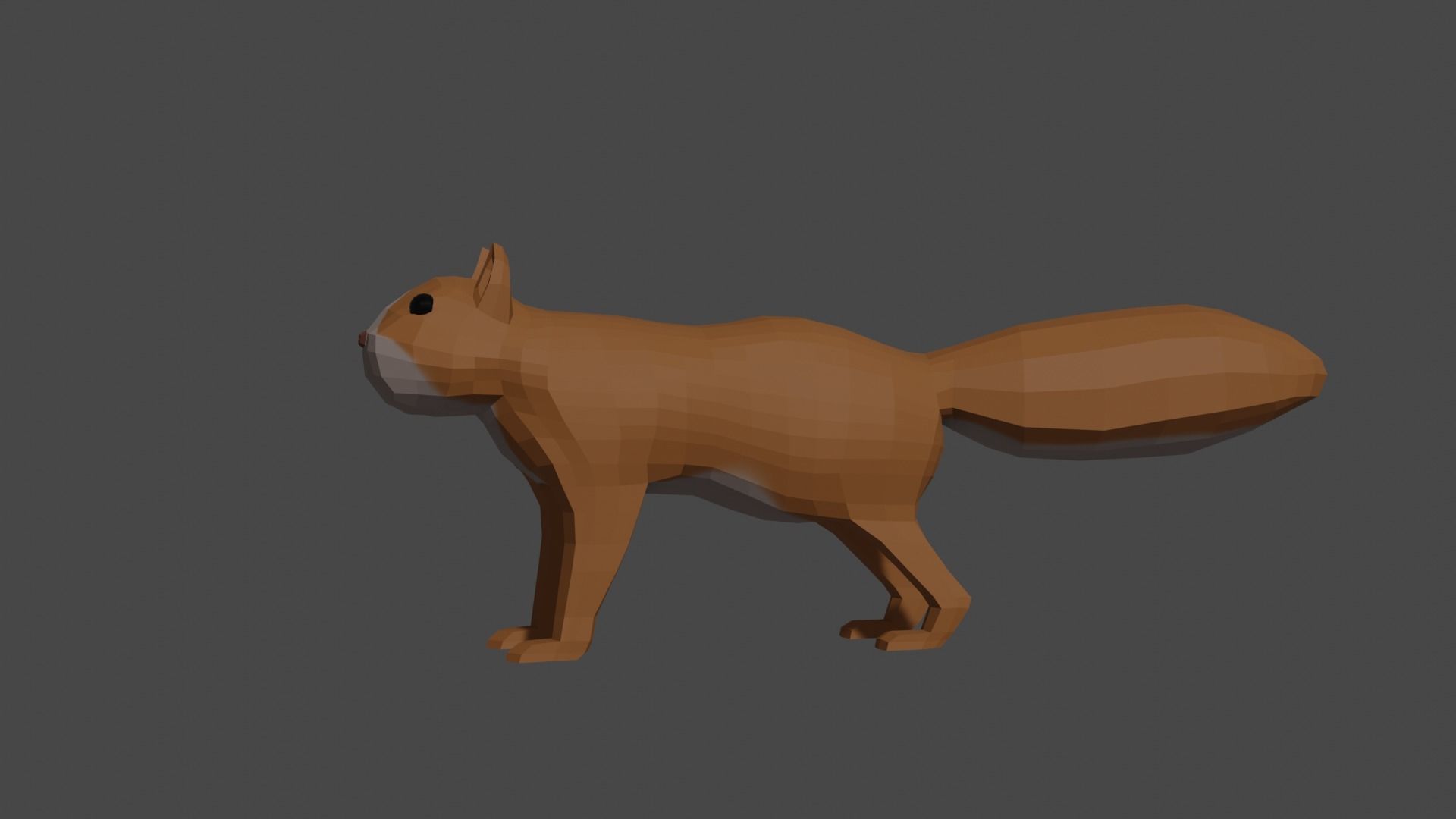 LowPoly Squirrel fox Low-poly 3D model_24
