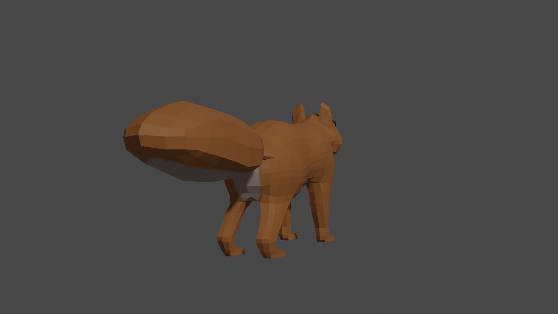 LowPoly Squirrel fox Low-poly 3D model_18