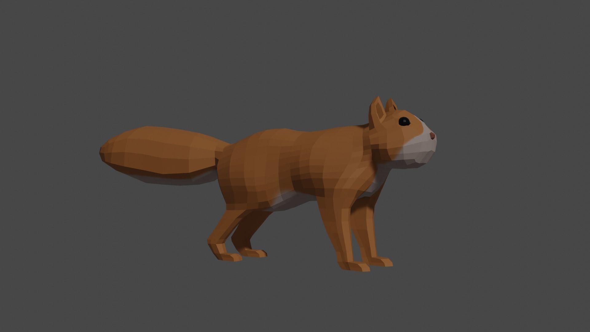 LowPoly Squirrel fox Low-poly 3D model_13