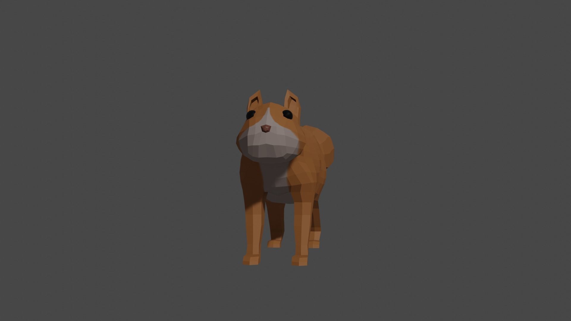 LowPoly Squirrel fox Low-poly 3D model_29