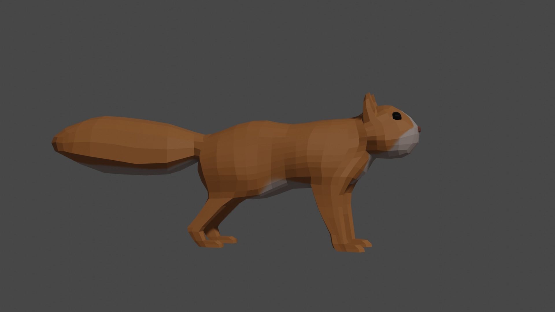 LowPoly Squirrel fox Low-poly 3D model_14