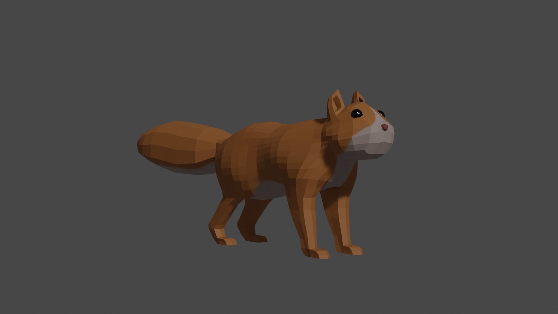 LowPoly Squirrel fox Low-poly 3D model_12