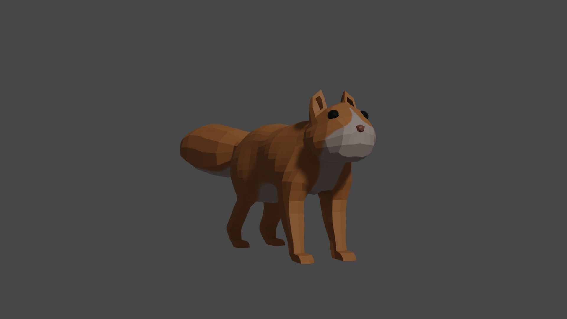 LowPoly Squirrel fox Low-poly 3D model_11