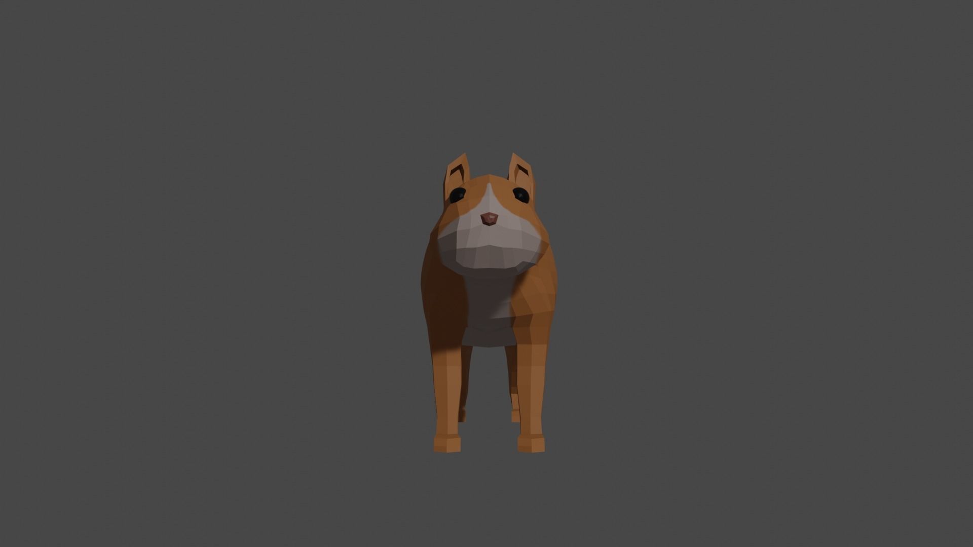 LowPoly Squirrel fox Low-poly 3D model_7