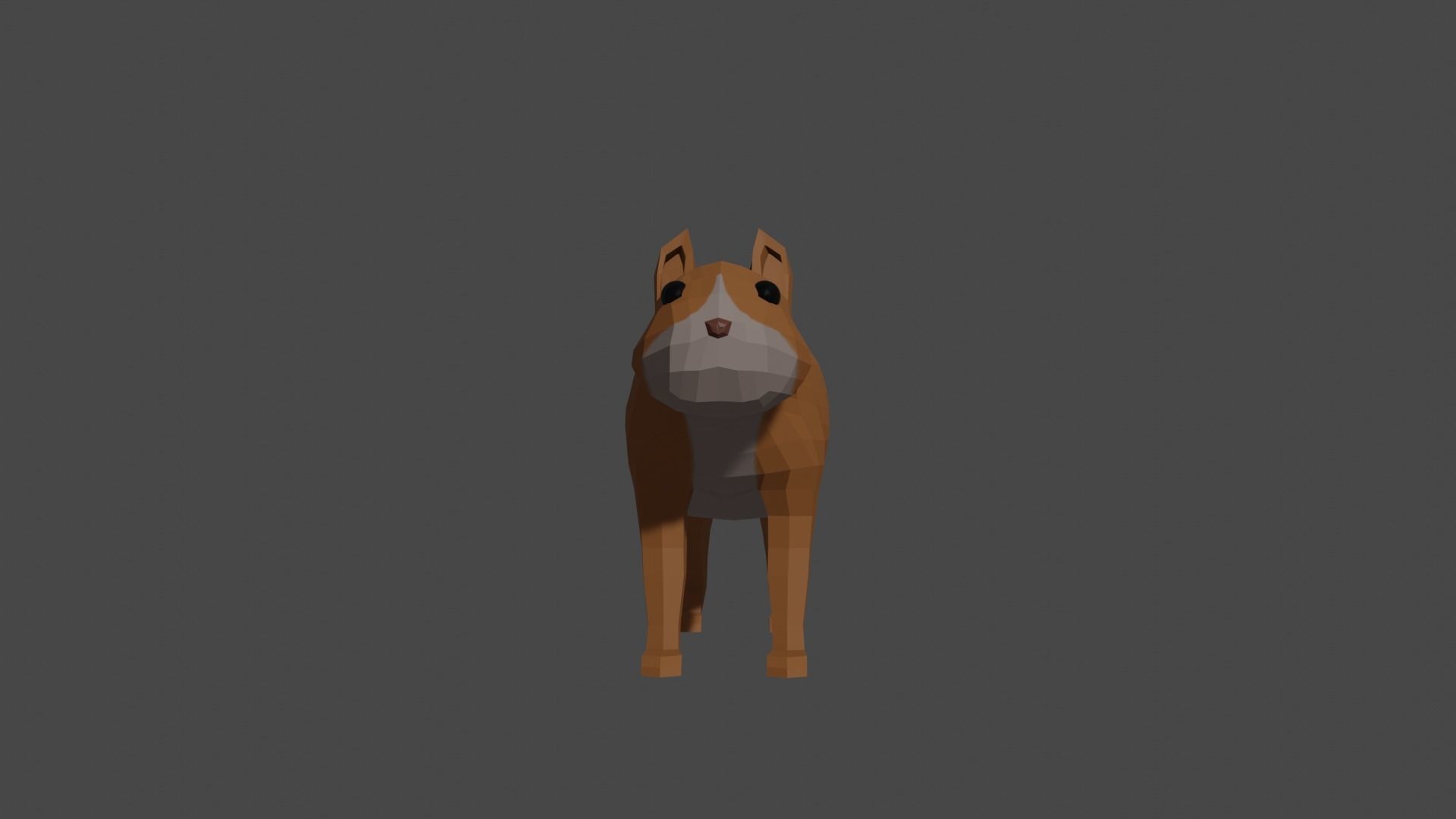 LowPoly Squirrel fox Low-poly 3D model_30
