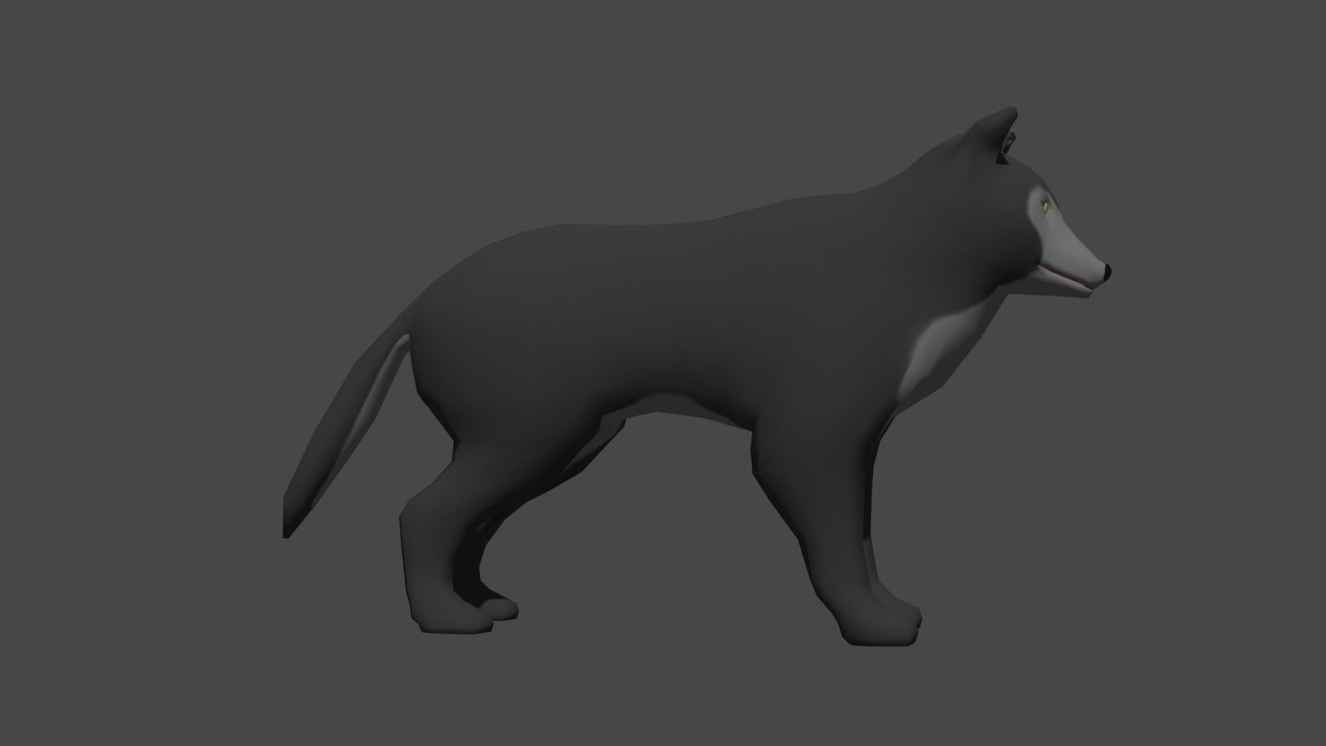 LowPoly Wolf Low-poly 3D model_13