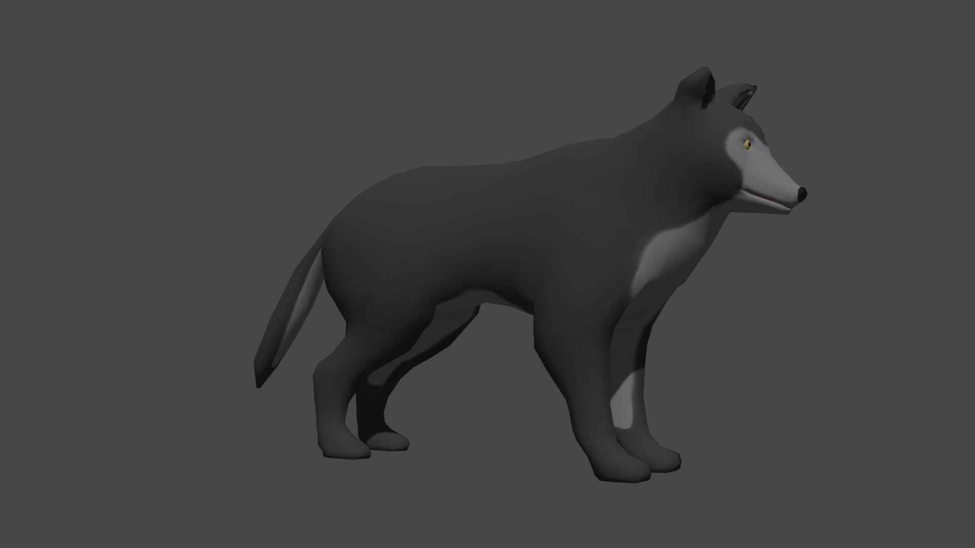 LowPoly Wolf Low-poly 3D model_12