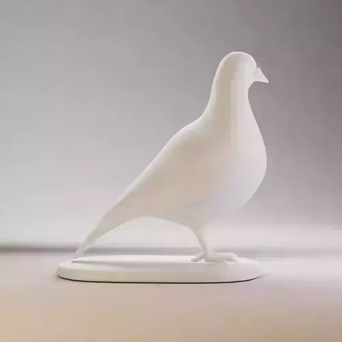 Pigeon