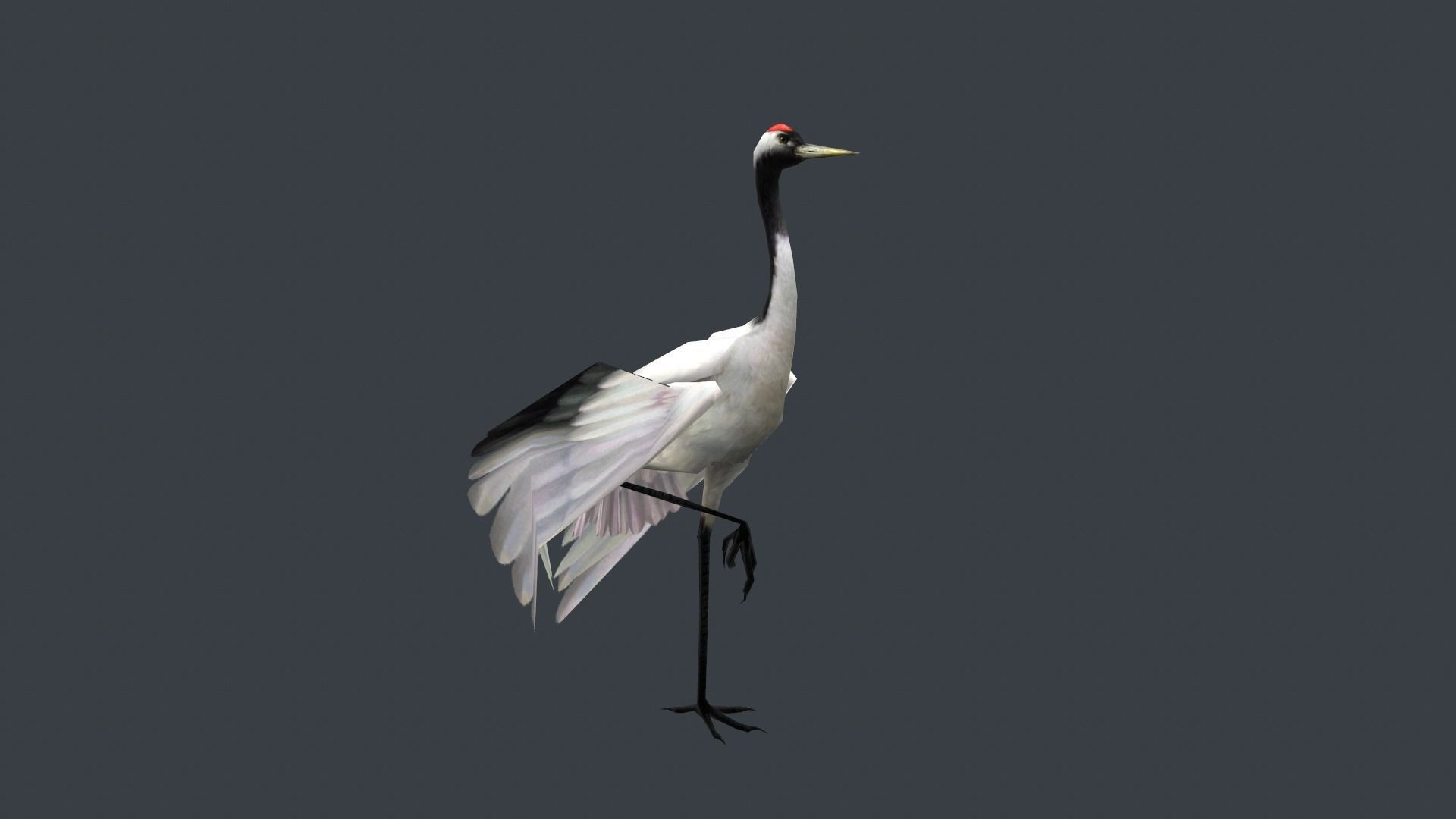 low-poly animated crane bird Low-poly 3D model_4
