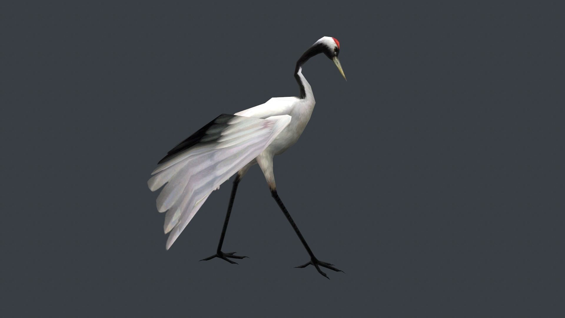 low-poly animated crane bird Low-poly 3D model_3
