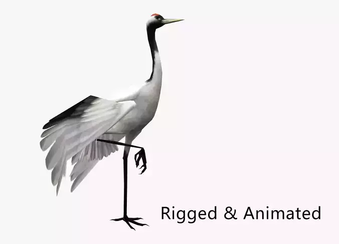 low-poly animated crane bird Low-poly 3D model
