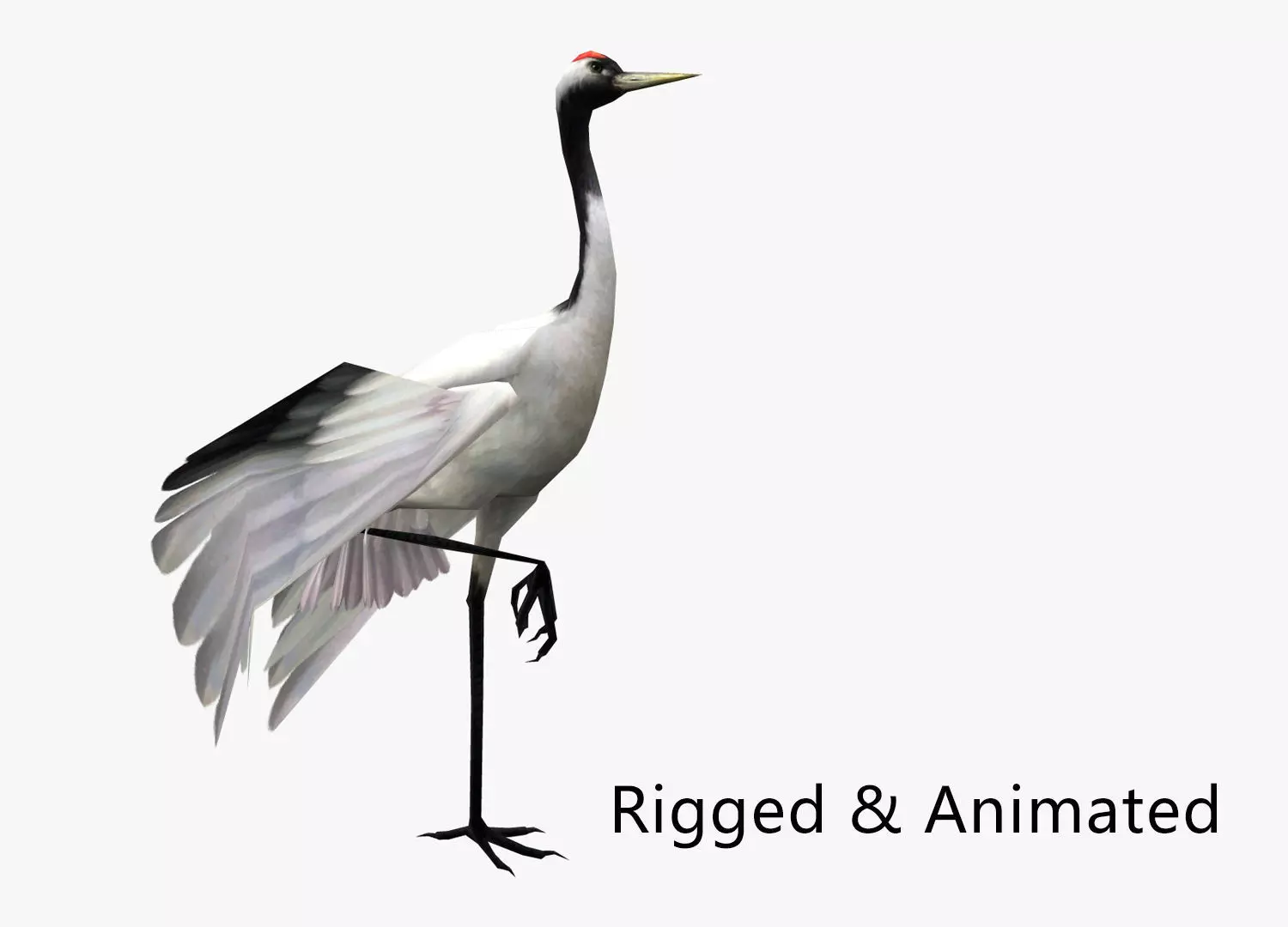 low-poly animated crane bird Low-poly 3D model_0
