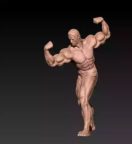 BODY BUILDER MUSCLE FLEXING