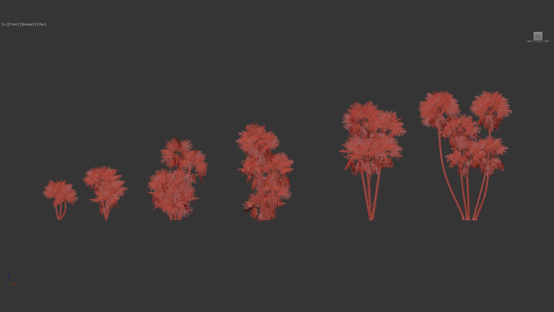 Acoelorrhaphe wrightii Everglades palms 3D Model 3D model_11