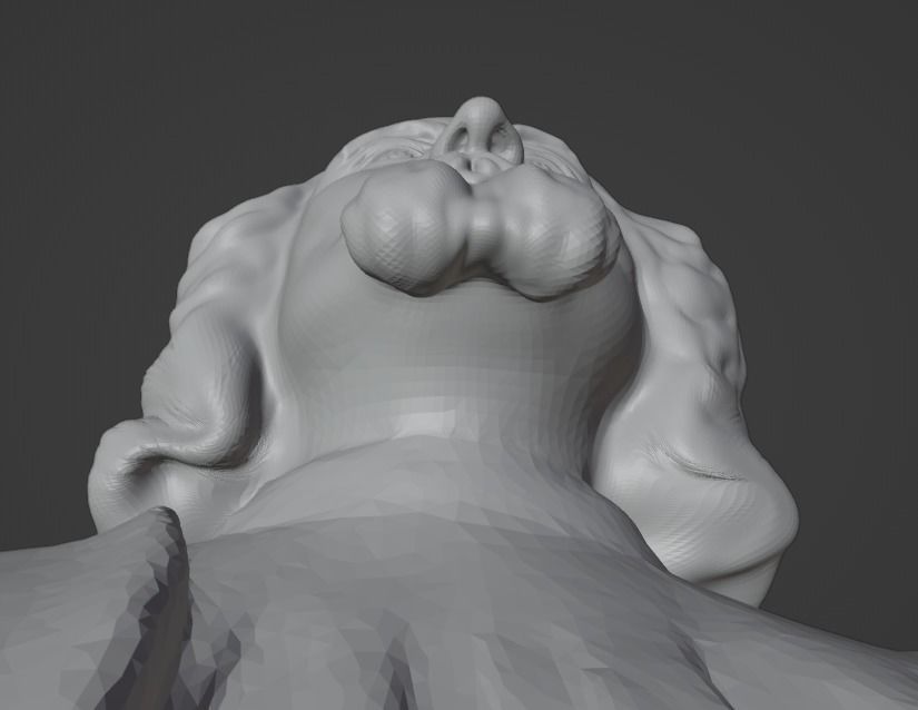 Jan Amos Comenius 3D print model_7