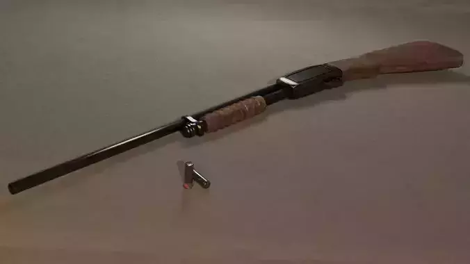 Shotgun with bullets