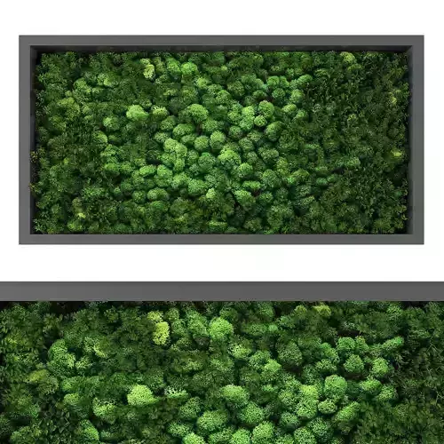 Vertical garden 201