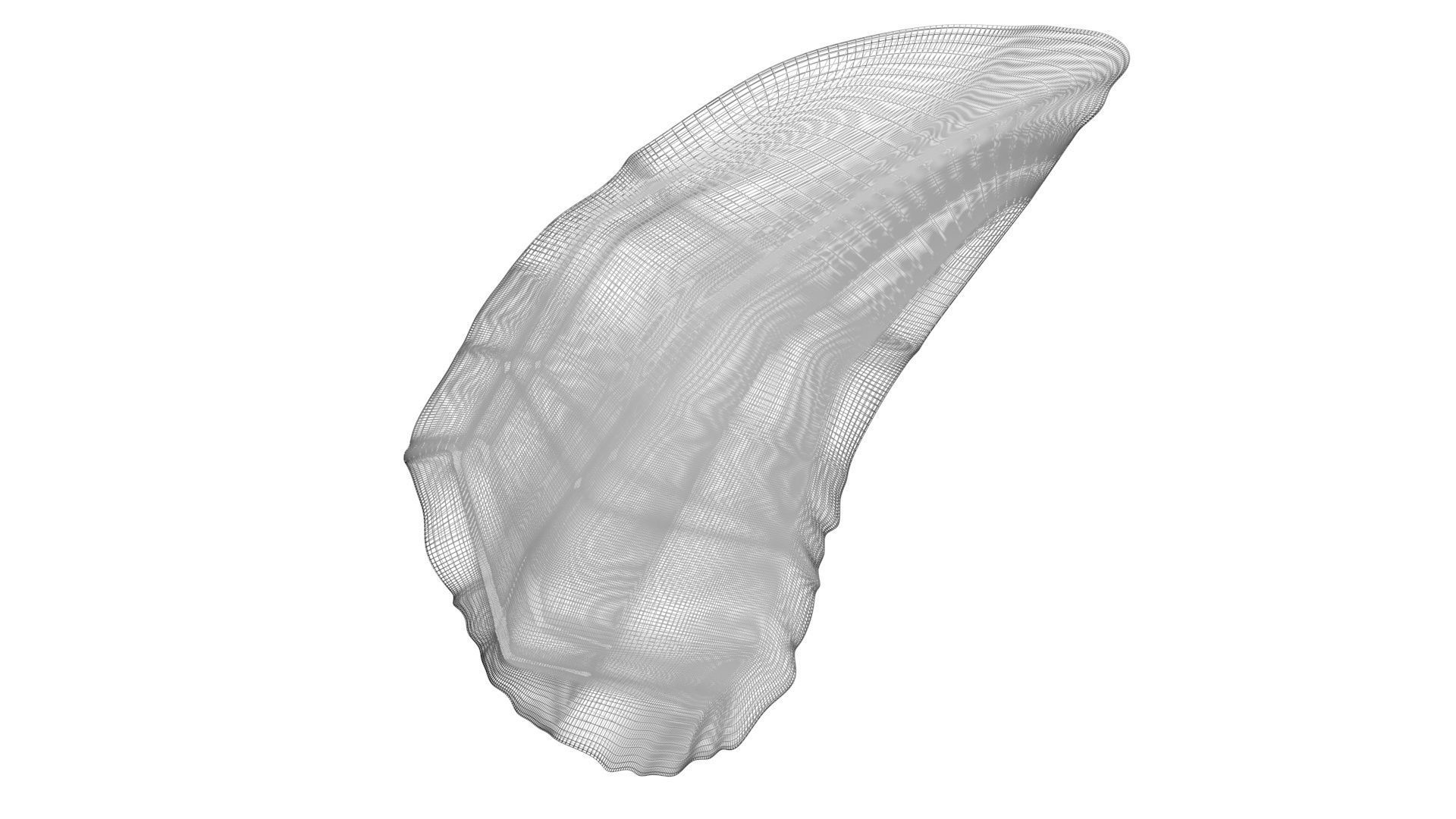 Mosasaurus Tooth 3D model_16