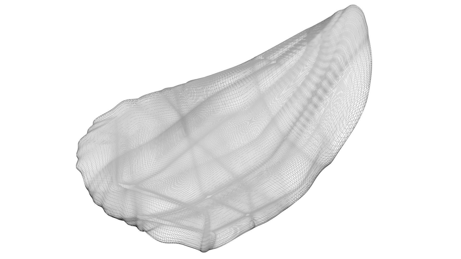 Mosasaurus Tooth 3D model_15