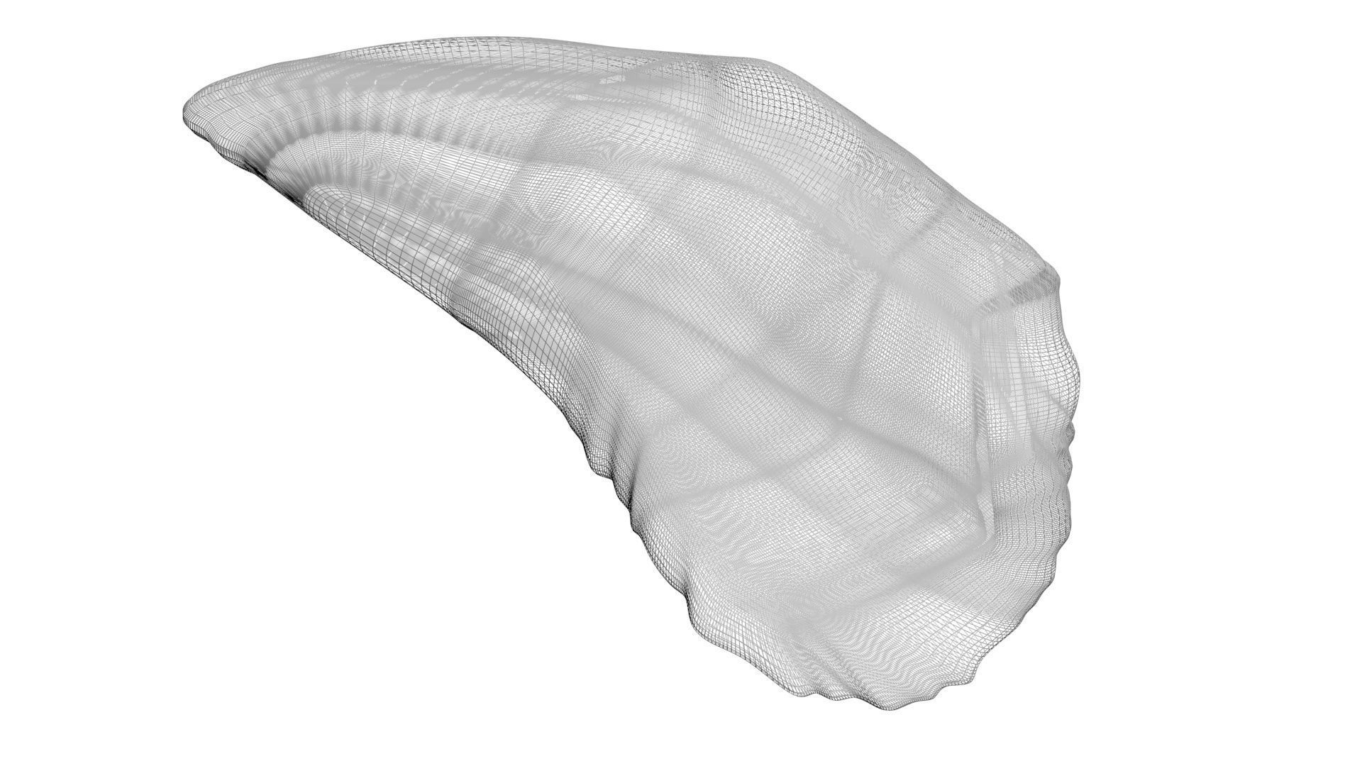 Mosasaurus Tooth 3D model_14