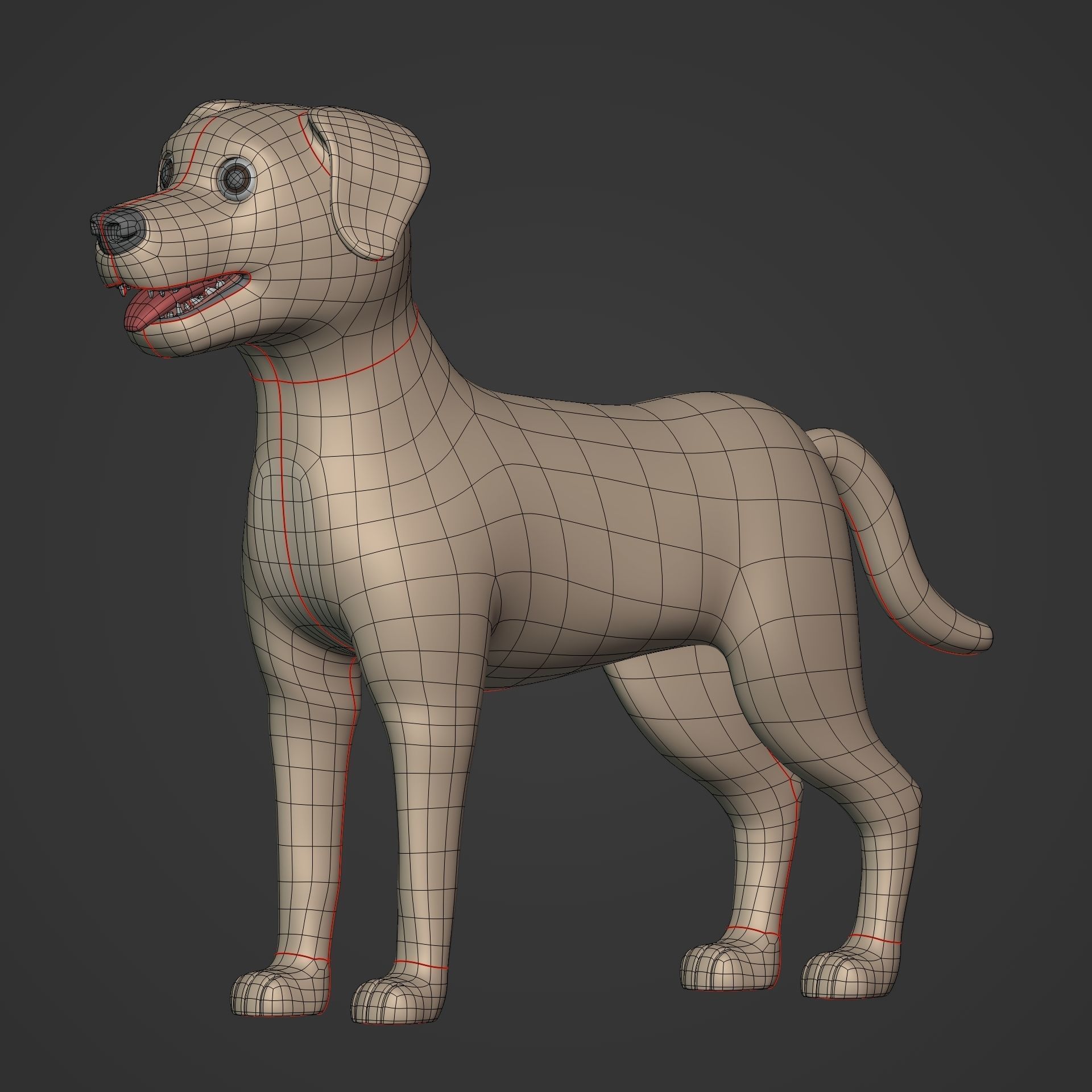 Cartoon Dog Low-poly 3D model_13