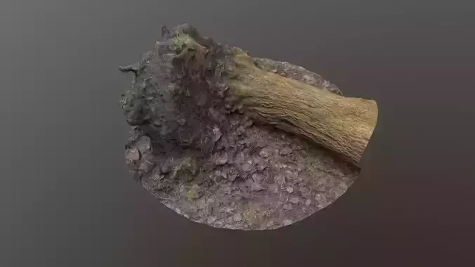 Fallen Tree Trunk Low-poly 3D model