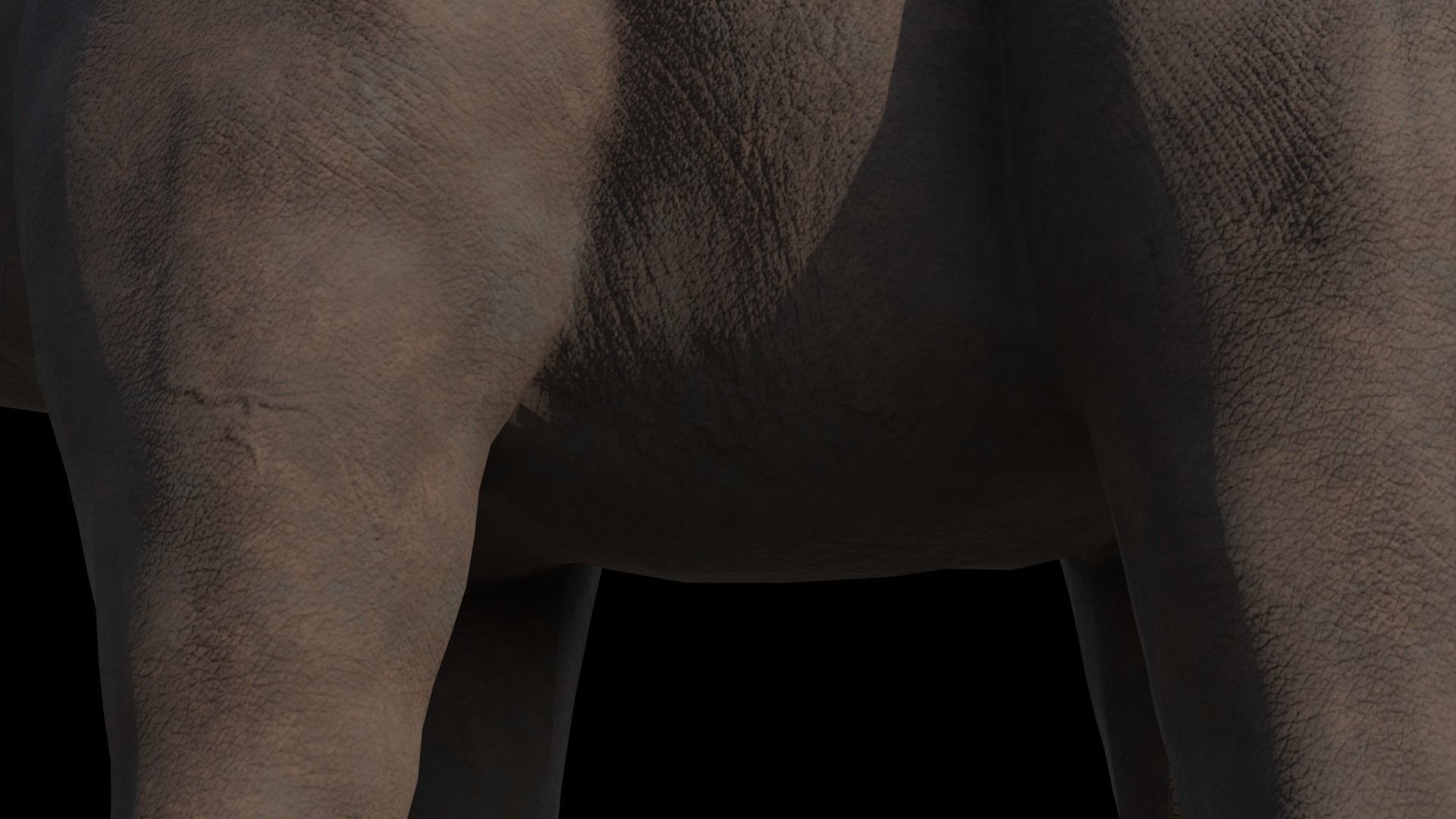 Dinosaur Brachiosaurus Sauropod Low-poly 3D model_12