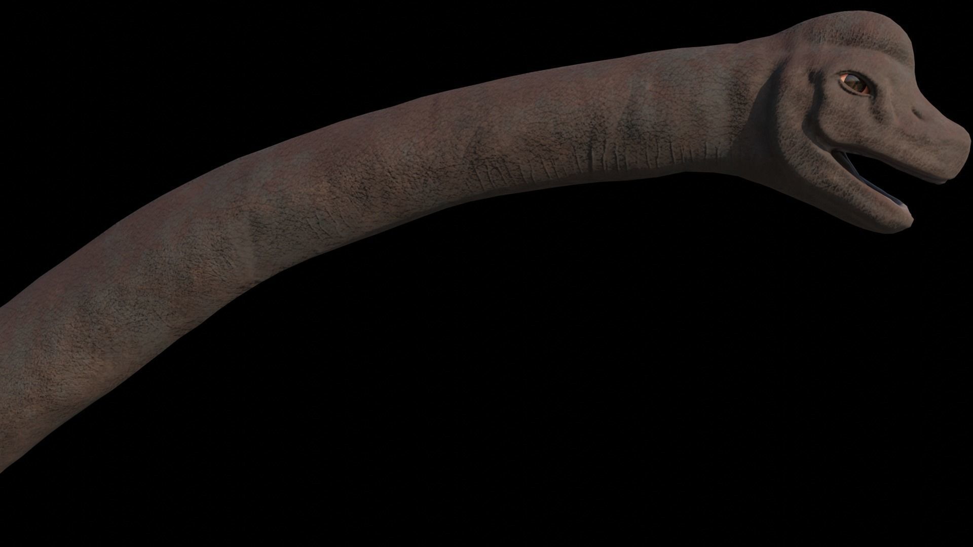 Dinosaur Brachiosaurus Sauropod Low-poly 3D model_8