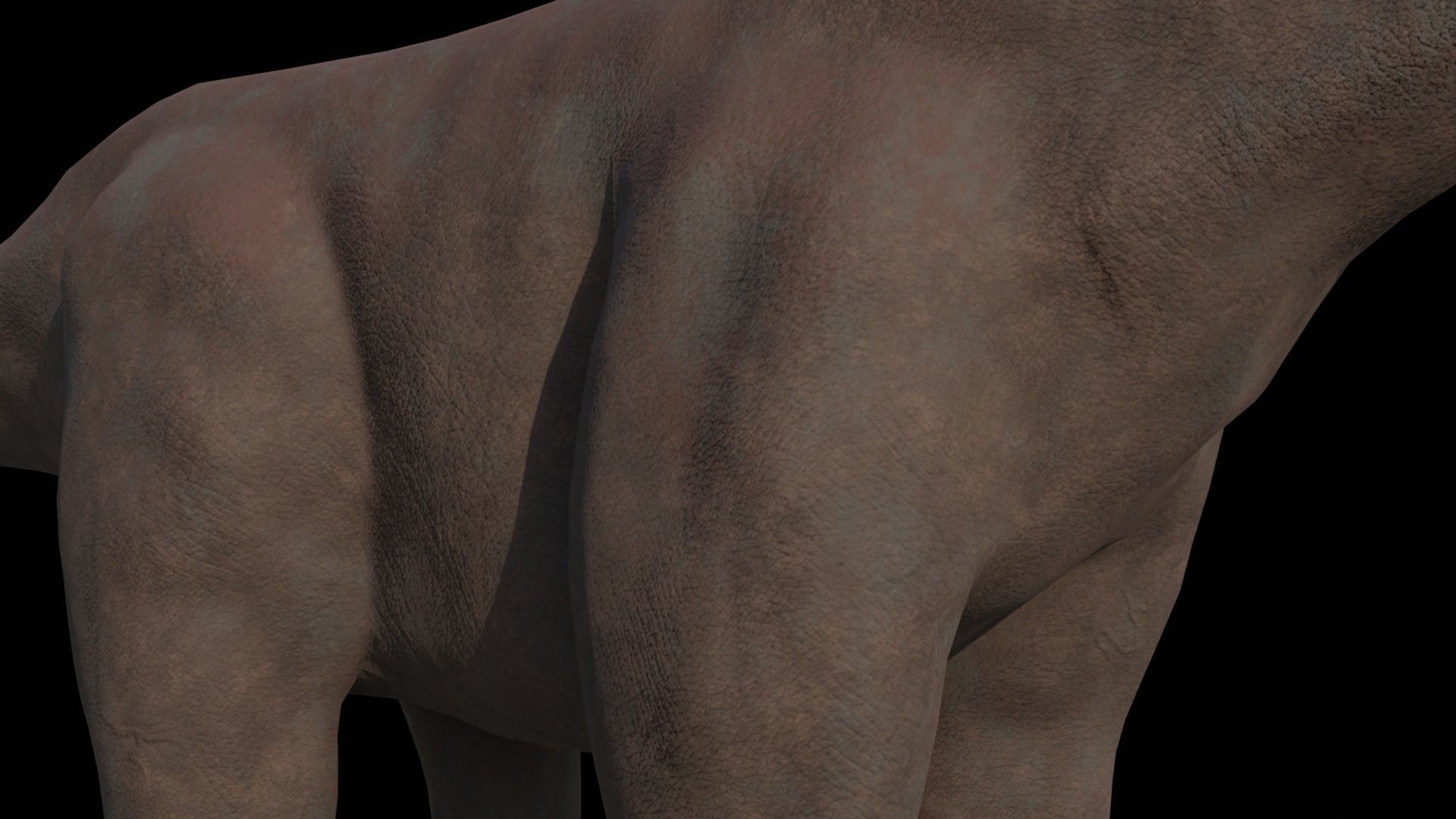 Dinosaur Brachiosaurus Sauropod Low-poly 3D model_10