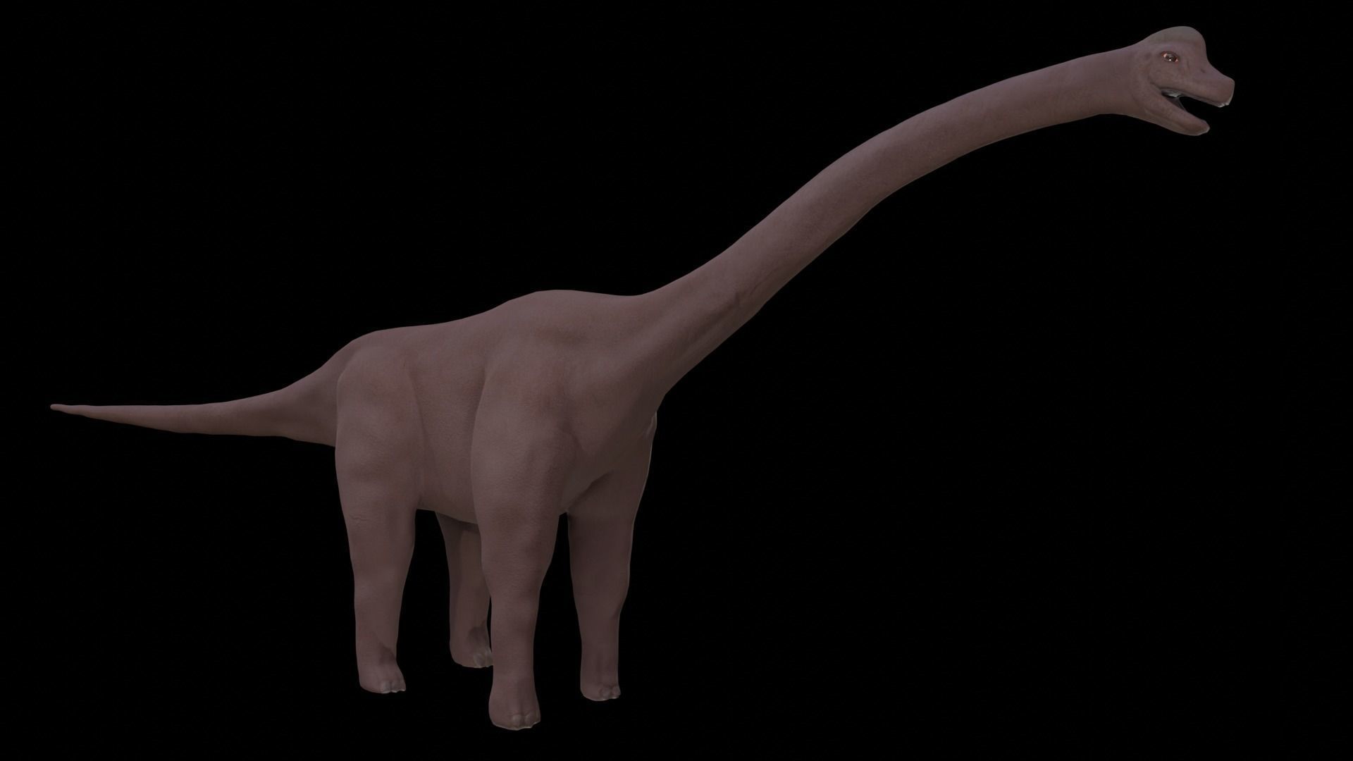 Dinosaur Brachiosaurus Sauropod Low-poly 3D model_9