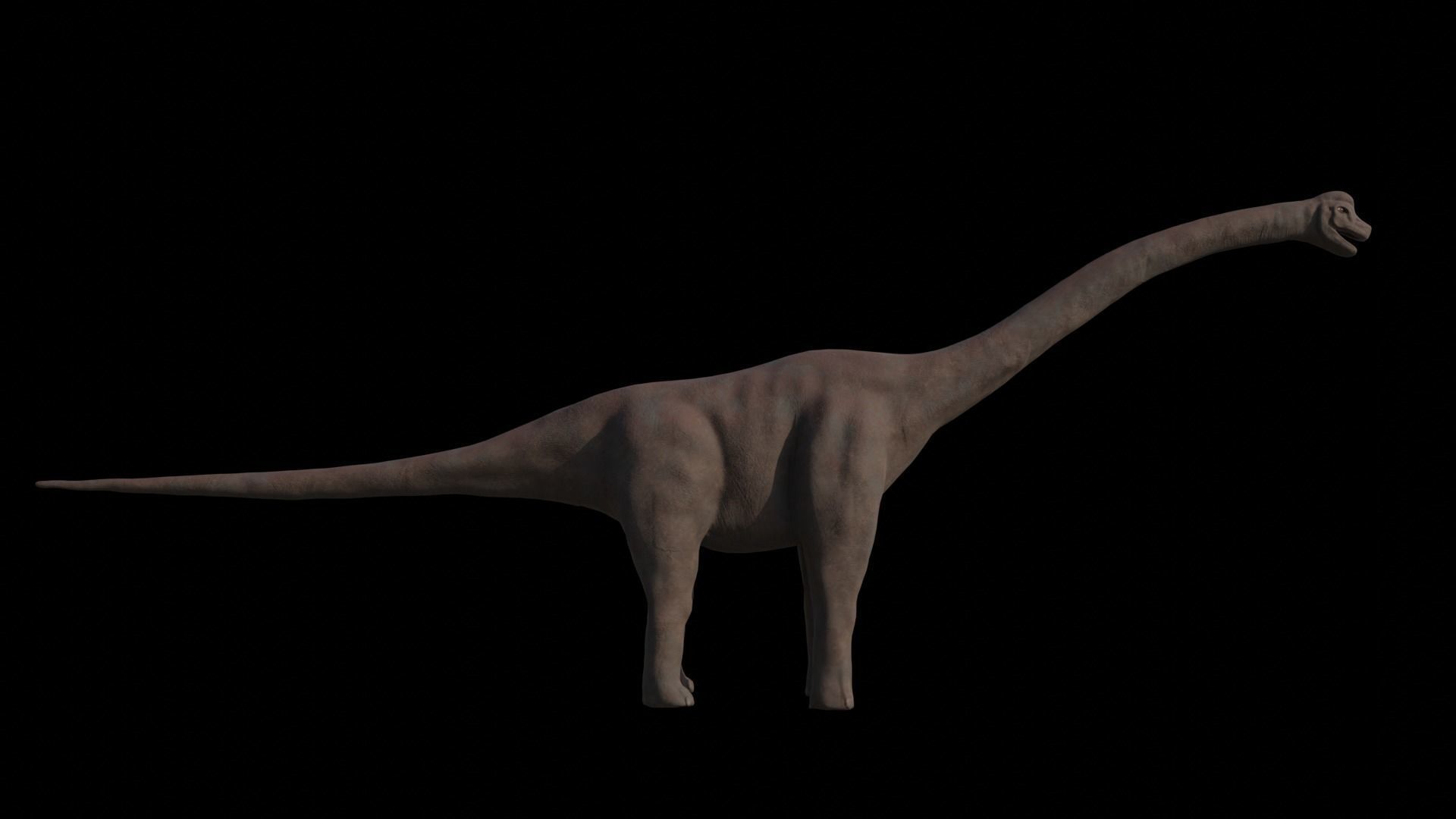 Dinosaur Brachiosaurus Sauropod Low-poly 3D model_4