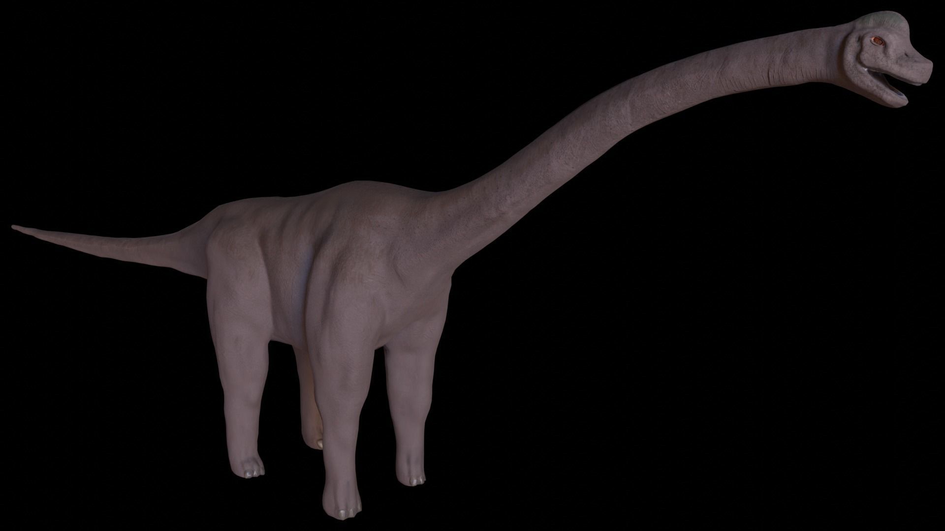 Dinosaur Brachiosaurus Sauropod Low-poly 3D model_7