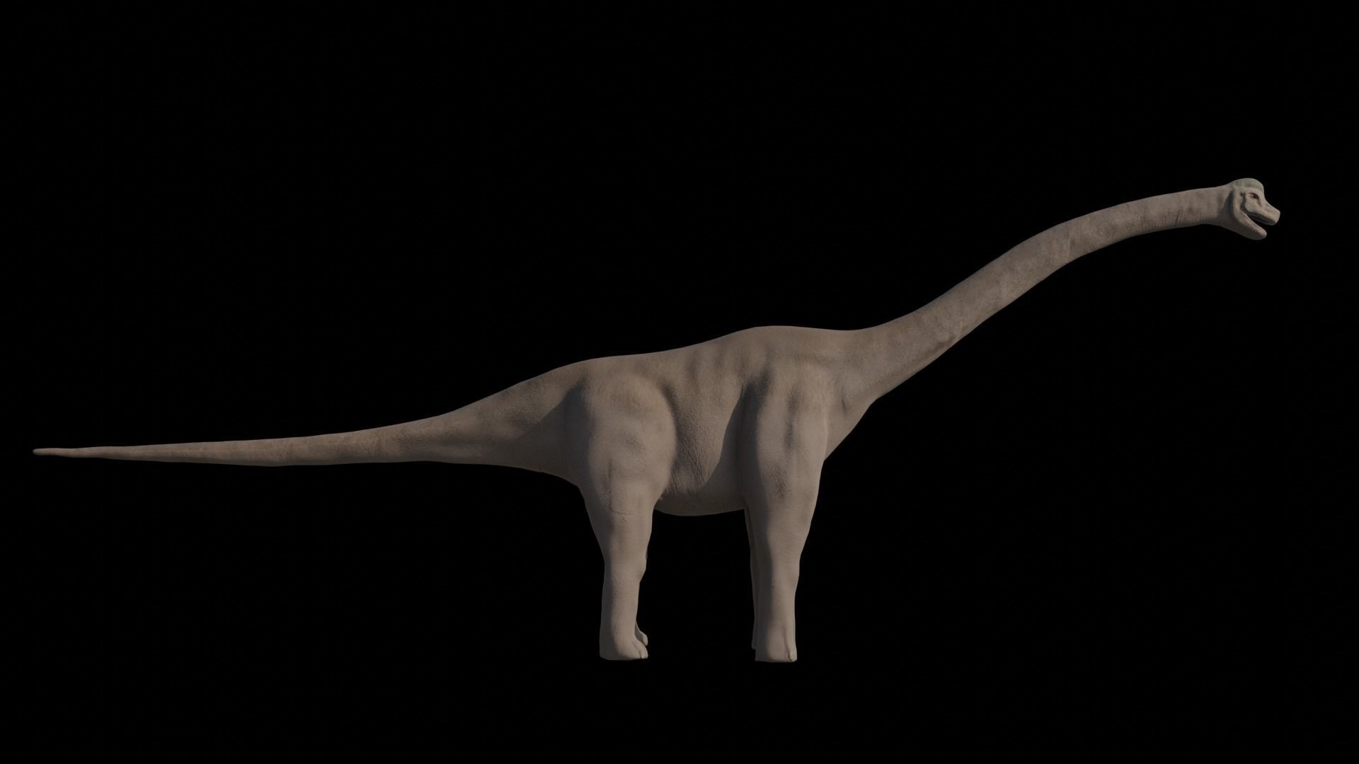 Dinosaur Brachiosaurus Sauropod Low-poly 3D model_5