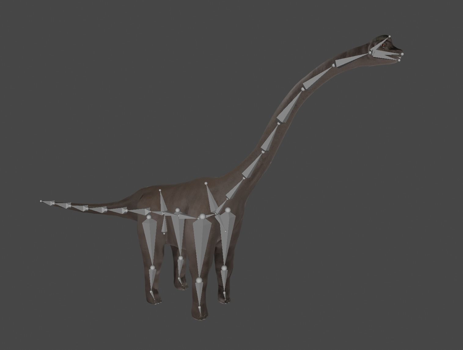 Dinosaur Brachiosaurus Sauropod Low-poly 3D model_20