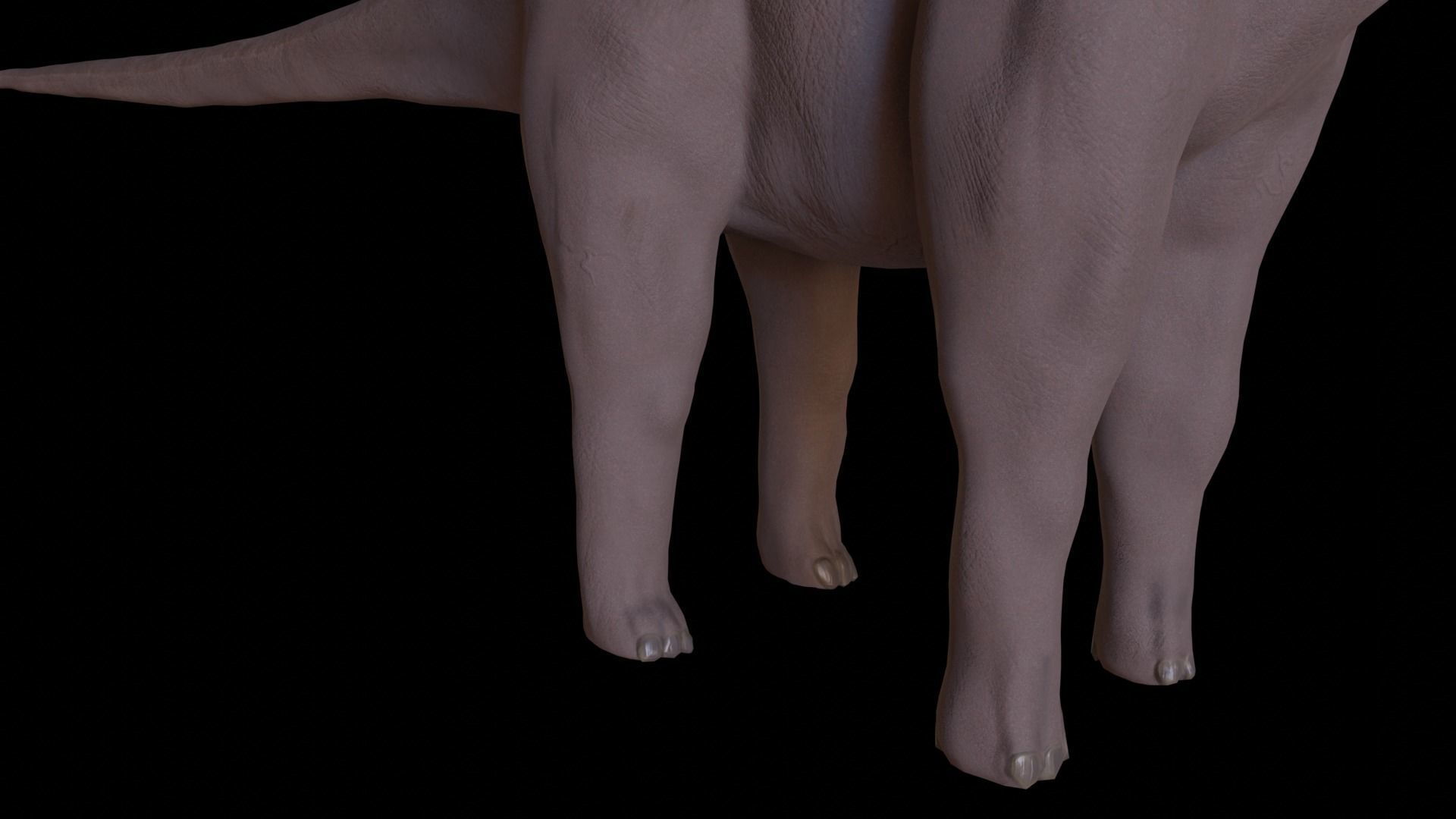 Dinosaur Brachiosaurus Sauropod Low-poly 3D model_13