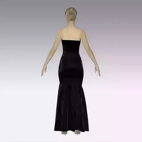 Evening dress 