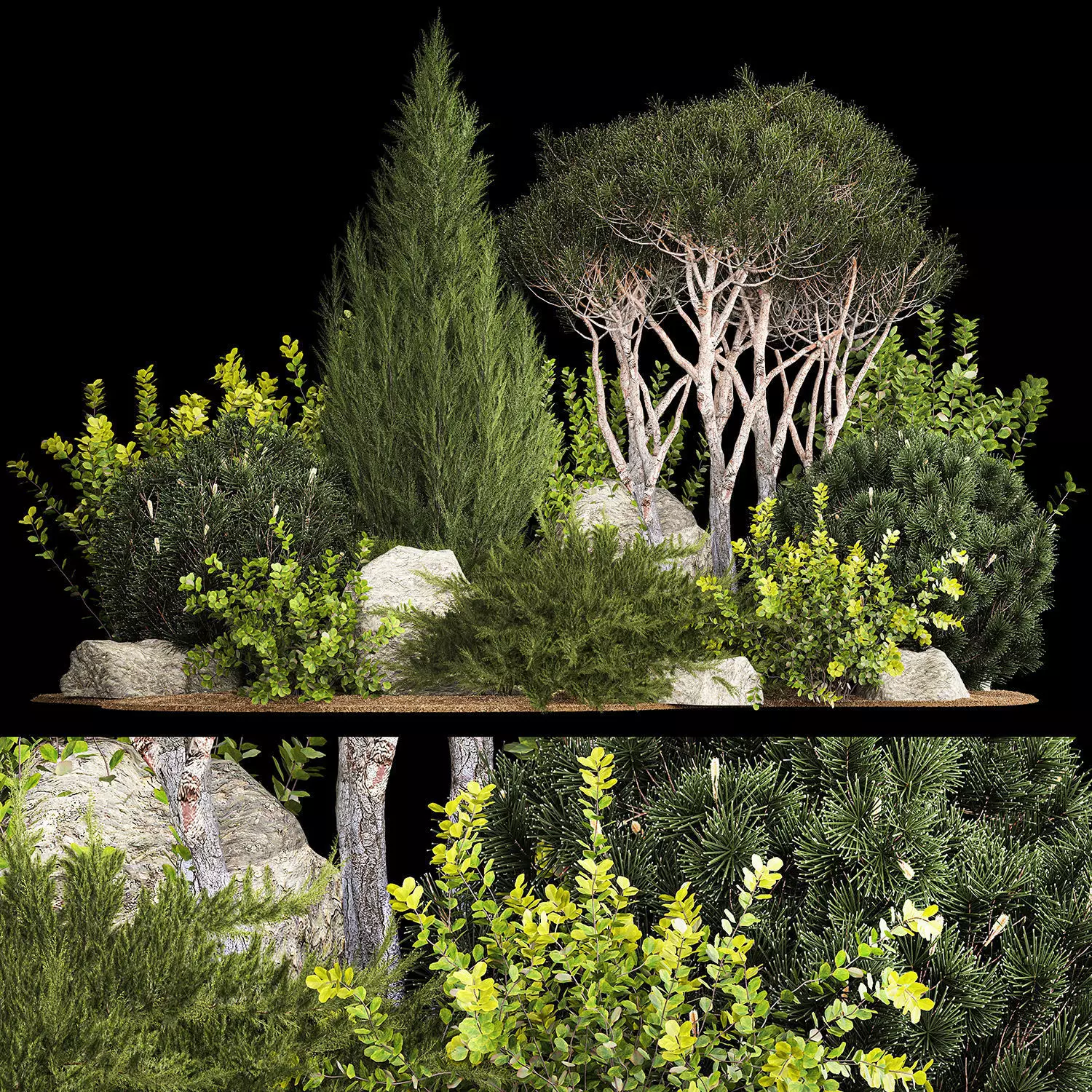 Alpine Hill Pine Topiary Thuja And Juniper 1216 3D model