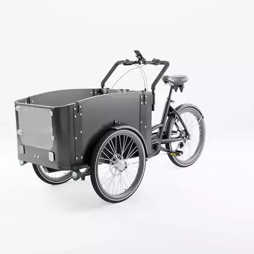 3D Model of Cargobike DeLight Dog Low-poly 3D model