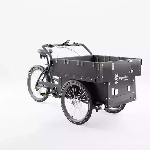 3D Model of Cargobike DeLight Kindergarden Low-poly 3D model
