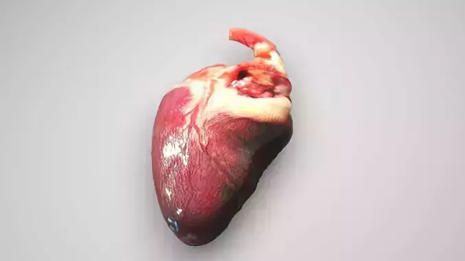 Chicken Heart