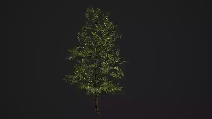 Realistic Tree 3D model Low-poly 3D model Low-poly 3D model