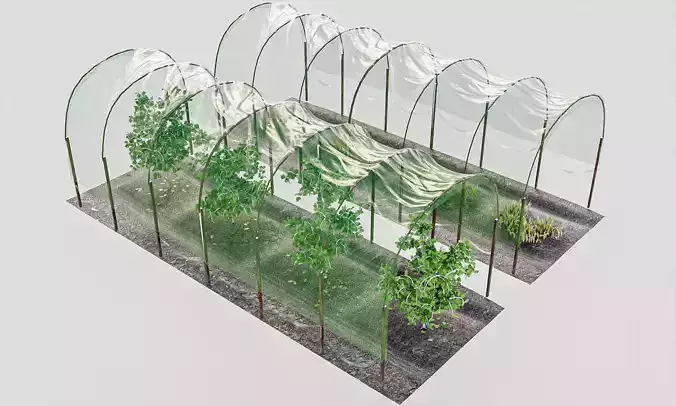 Farm Greenhouse