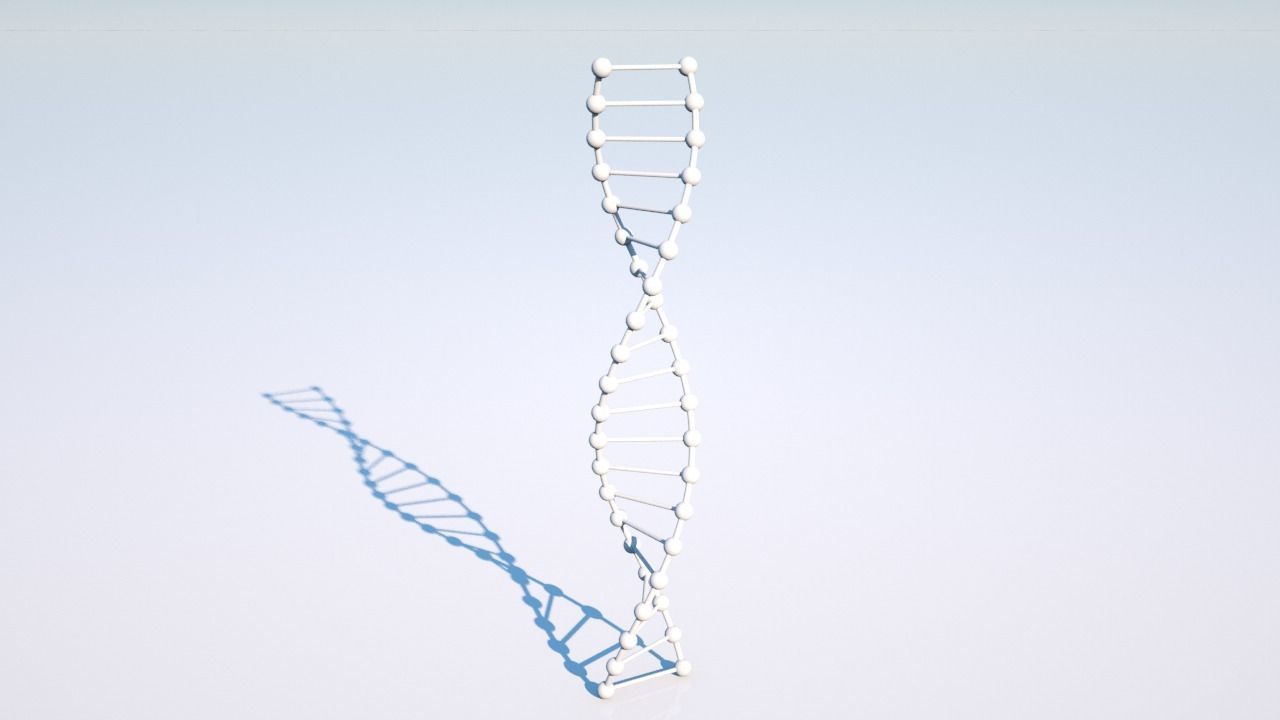 DNK-1 dna strand Free 3D model_1