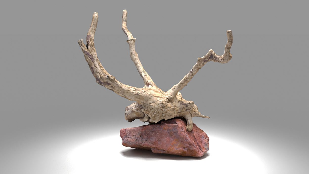 Decorative stone and plant 3D model_6