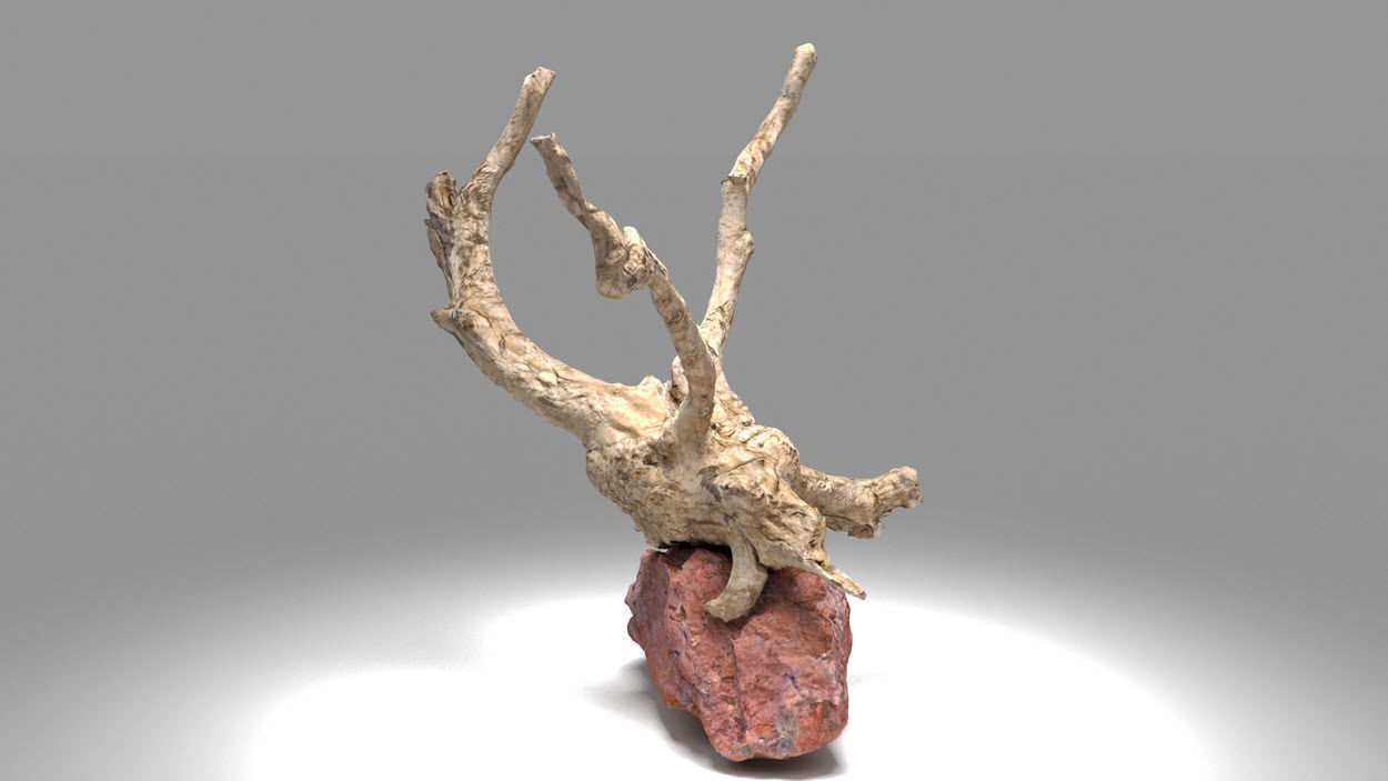 Decorative stone and plant 3D model_5