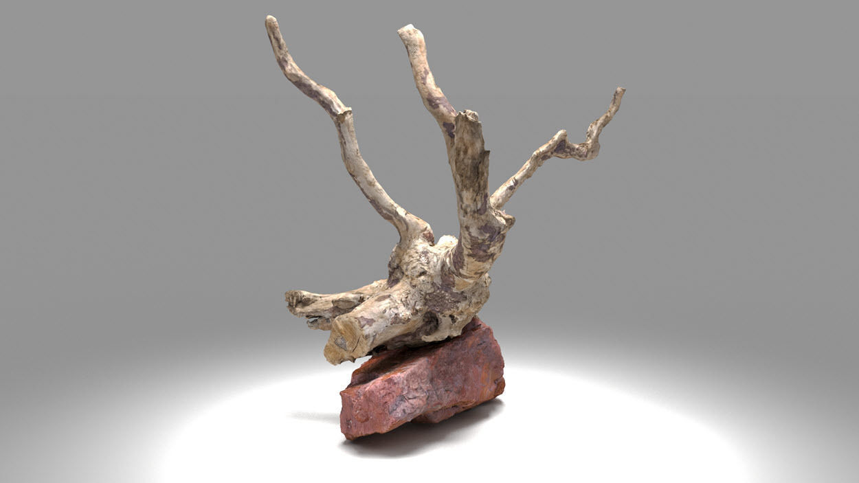 Decorative stone and plant 3D model_8