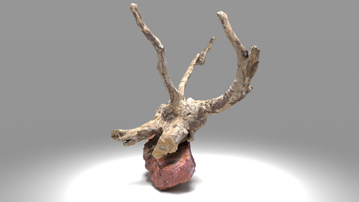 Decorative stone and plant 3D model_3