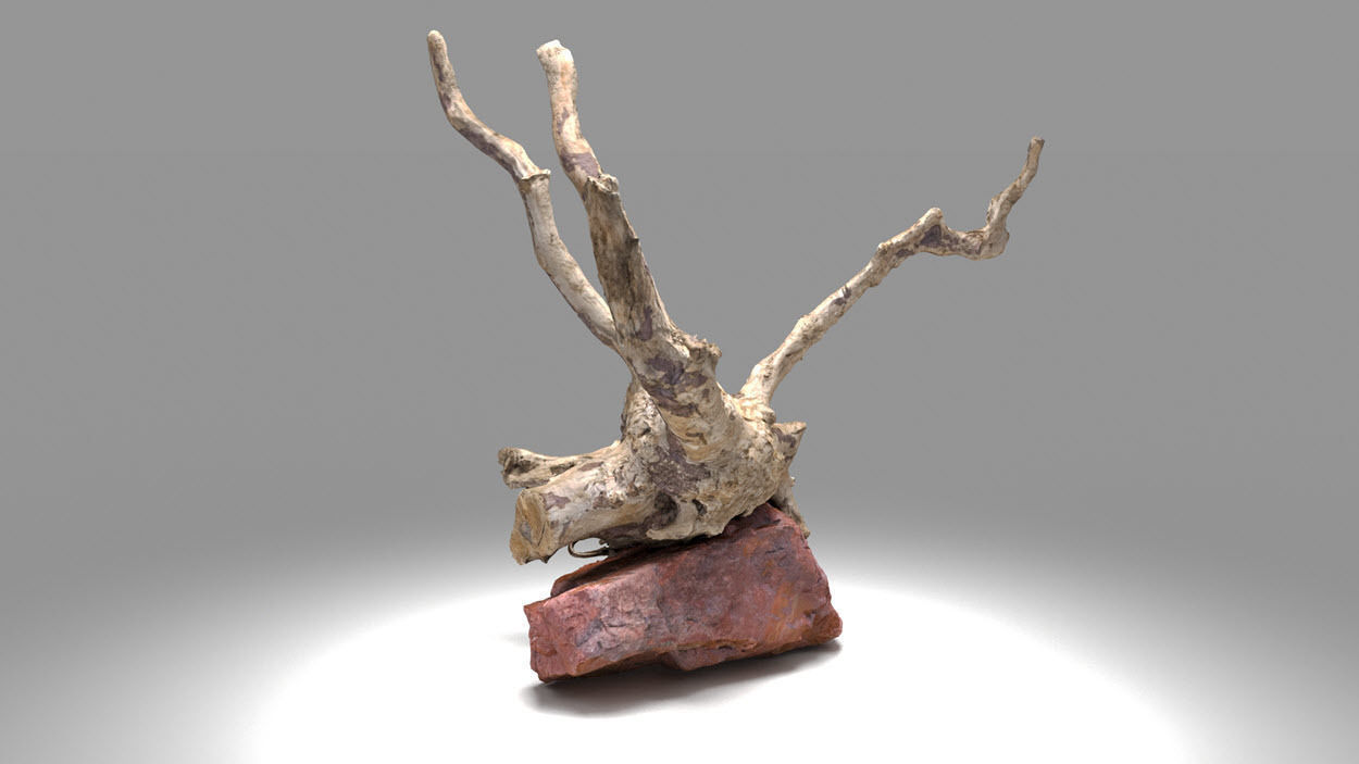 Decorative stone and plant 3D model_7