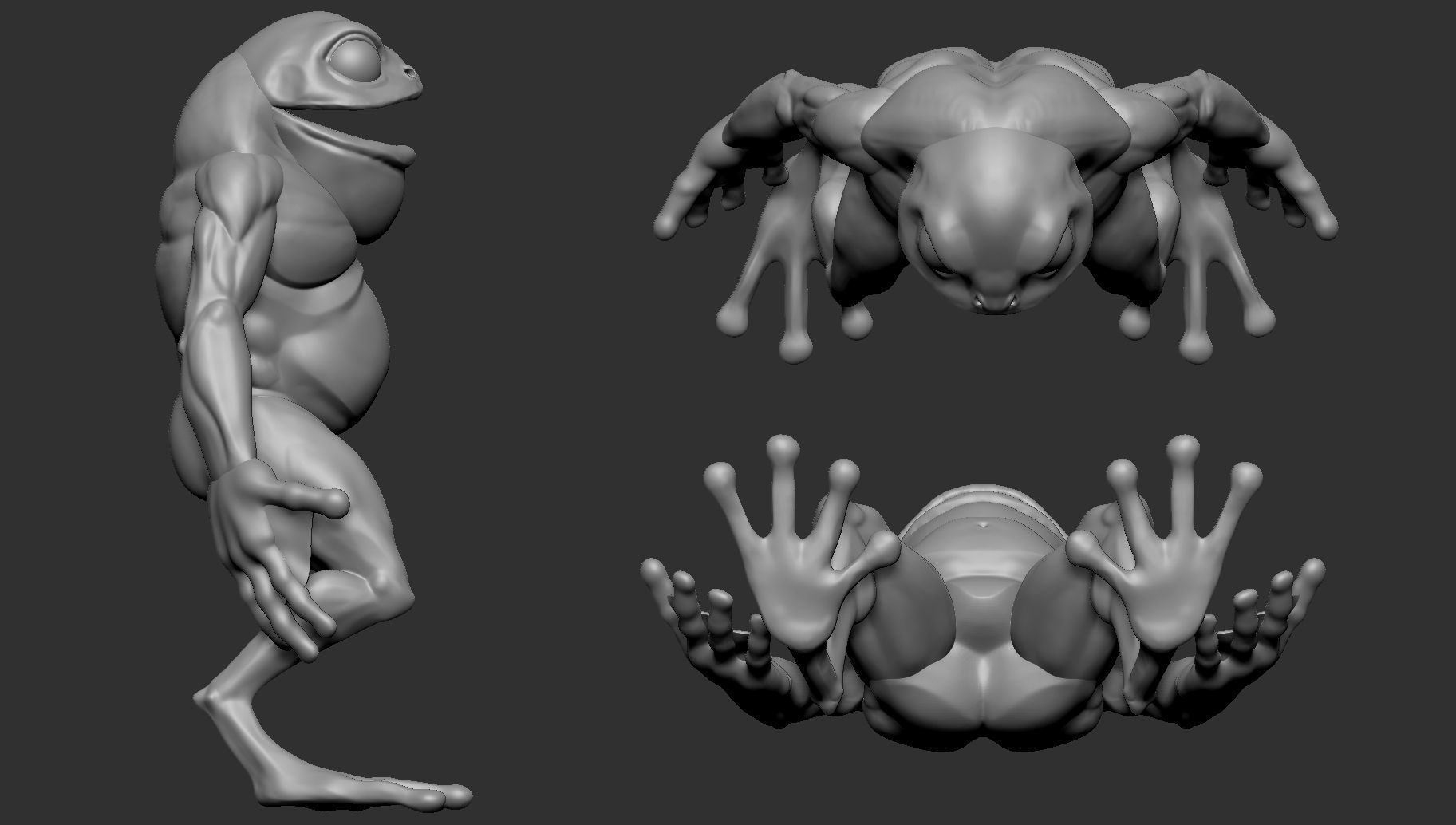 Basemesh Toad 3D model_1