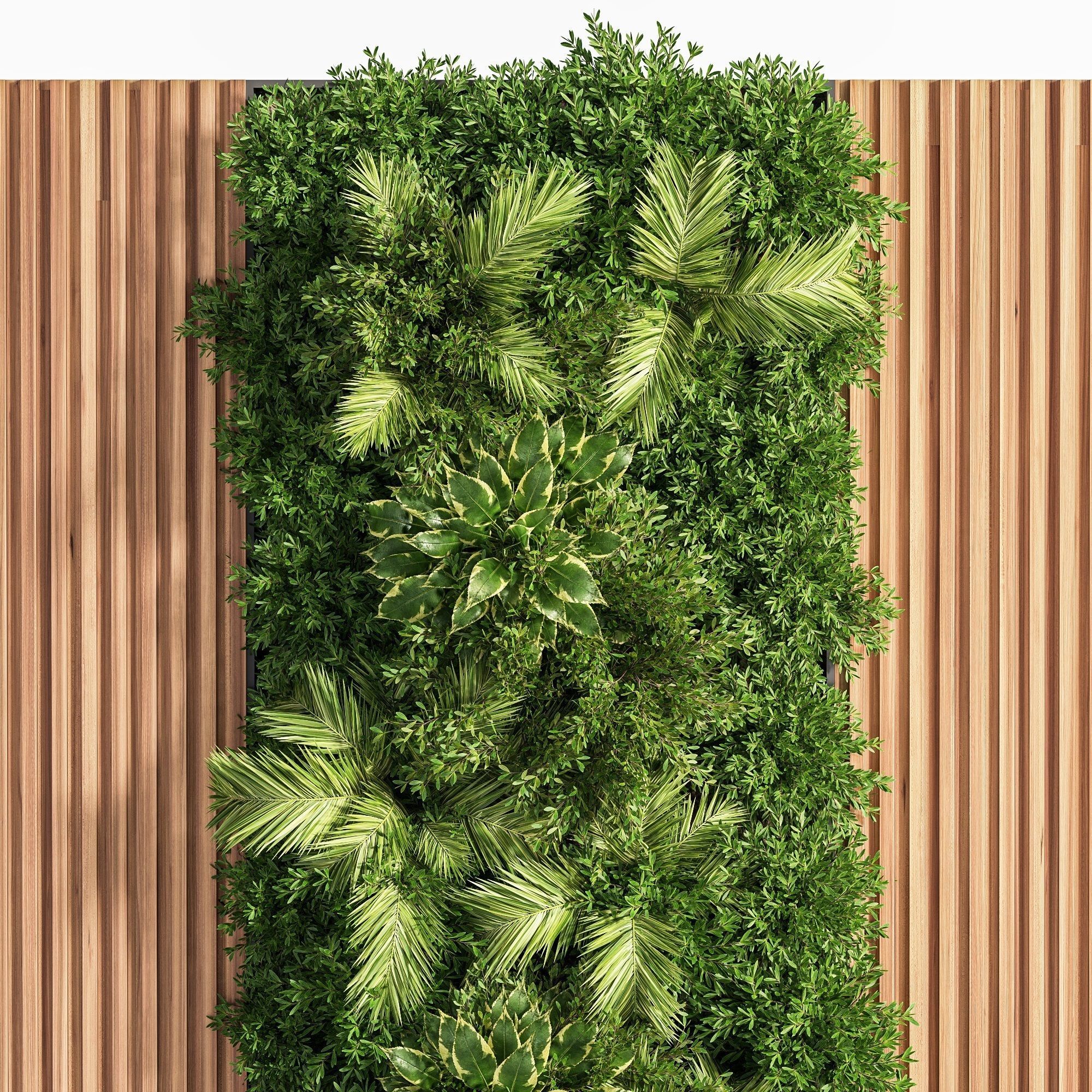 Wooden planks and vertical garden 03 3D model_3